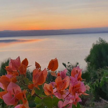 Comfy Stays Sea View Apartments At Deadsea Samarah Resort Sweimeh Luaran gambar