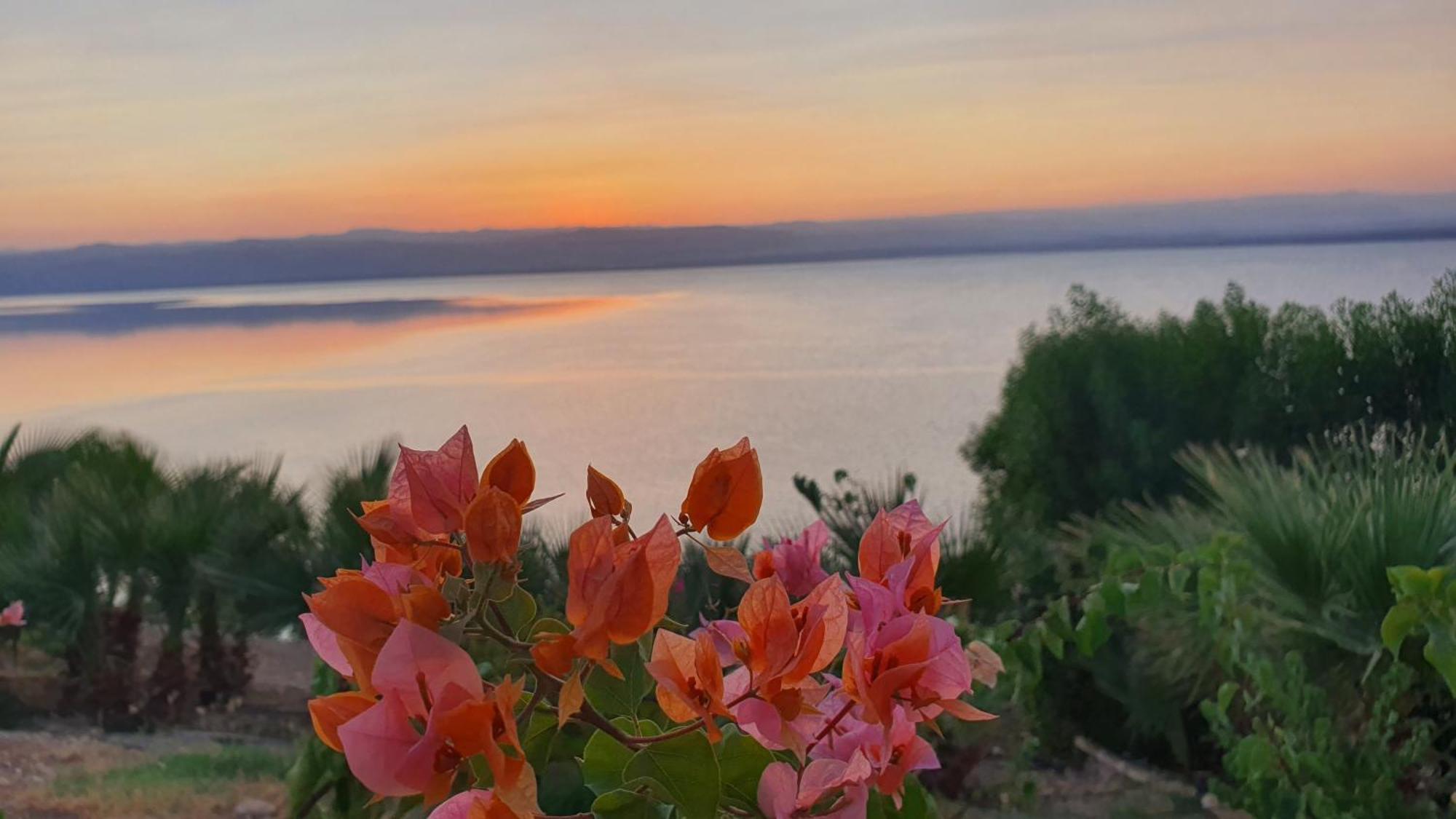 Comfy Stays Sea View Apartments At Deadsea Samarah Resort Sweimeh Luaran gambar
