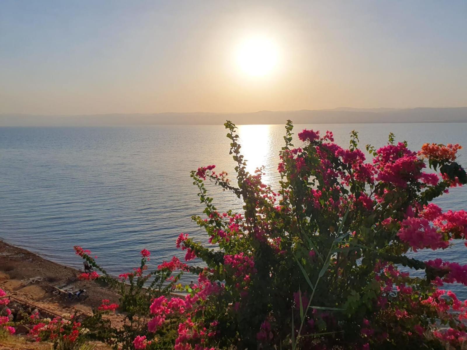 Comfy Stays Sea View Apartments At Deadsea Samarah Resort Sweimeh Luaran gambar